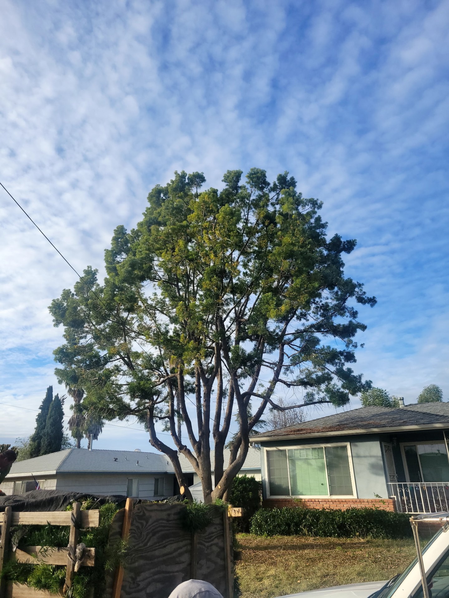 Land clearing service in San Diego County
